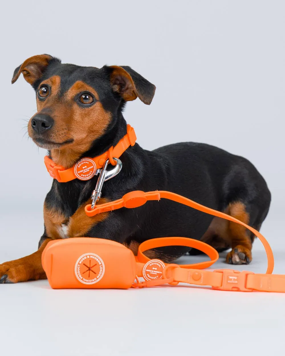 Matching Orange Waterproof Bundle - Collar, Lead and Poop Bag Holder