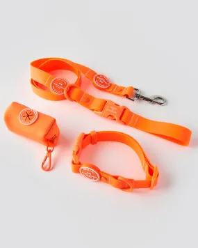 Matching Orange Waterproof Bundle - Collar, Lead and Poop Bag Holder